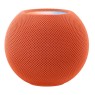 Homepod Mini (1)