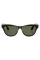Умные очки Ray-Ban Meta Skyler (150-52), Shiny Black/G-15 Green Polarized, глянцевый черный/зеленые поляризованные