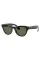 Умные очки Ray-Ban Meta Skyler (150-52), Shiny Black/G-15 Green Polarized, глянцевый черный/зеленые поляризованные