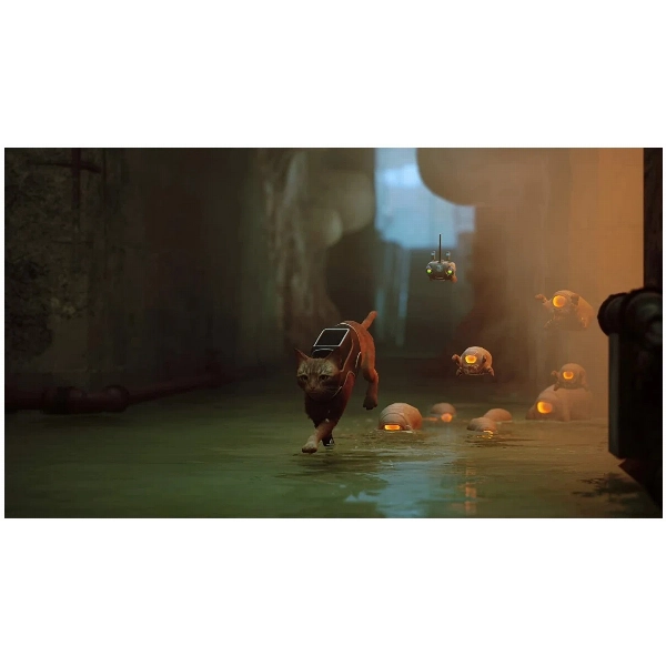 Игра Stray для PS5