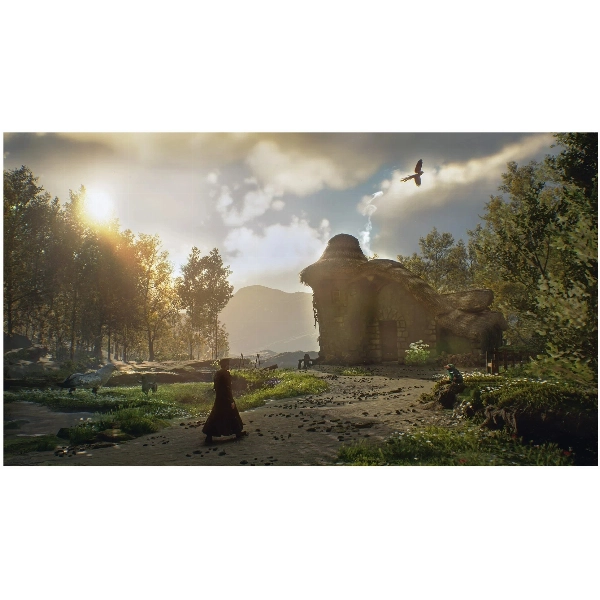 Игра Hogwarts Legacy (Хогвартс. Наследие) для PS5