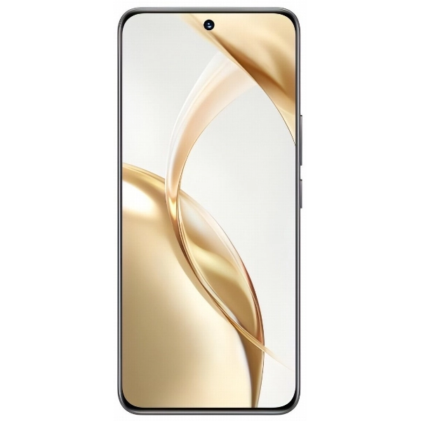 Смартфон Honor 200 8/256 Gb, черный