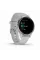 Умные часы Garmin Venu 2S, серебристый